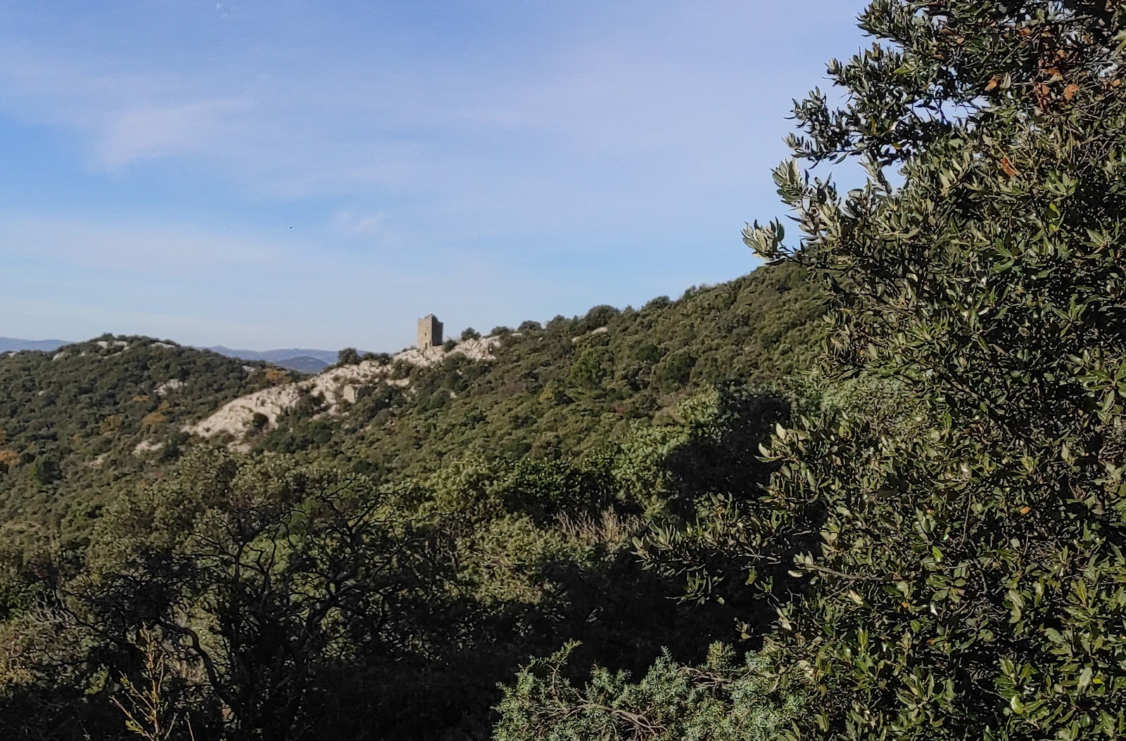 Photo 4 de Pic saint Loup