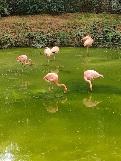 Photo 3 de Parc de l'Auxois