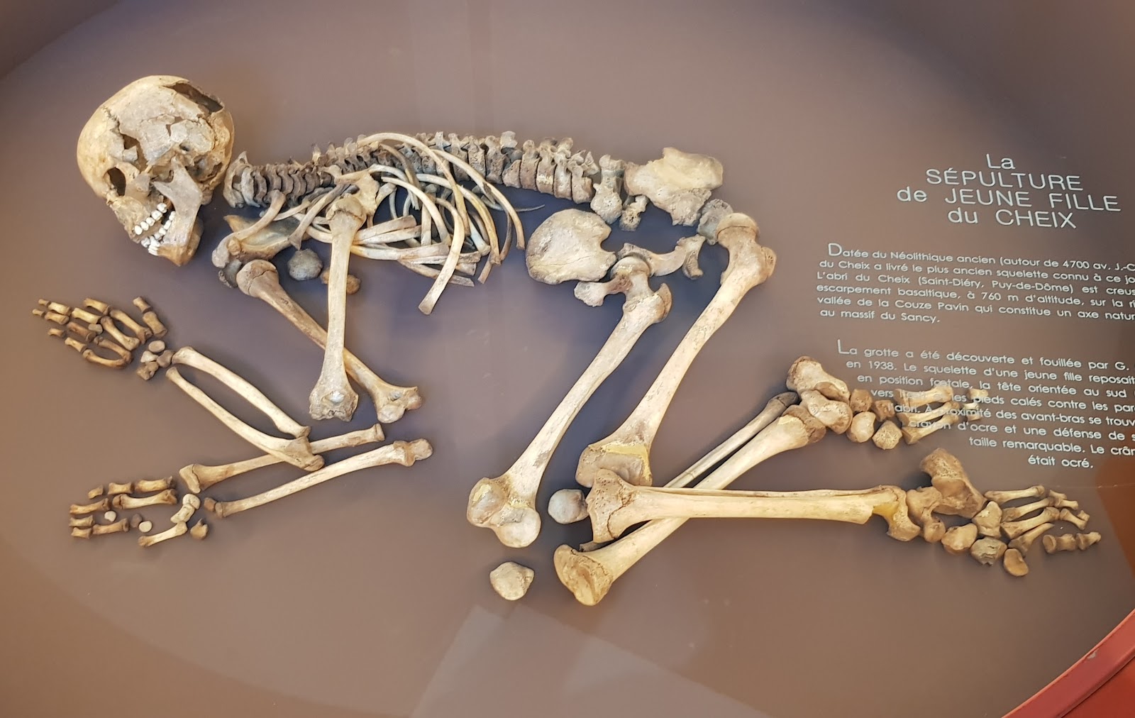 Photo 4 de Musée Bargoin