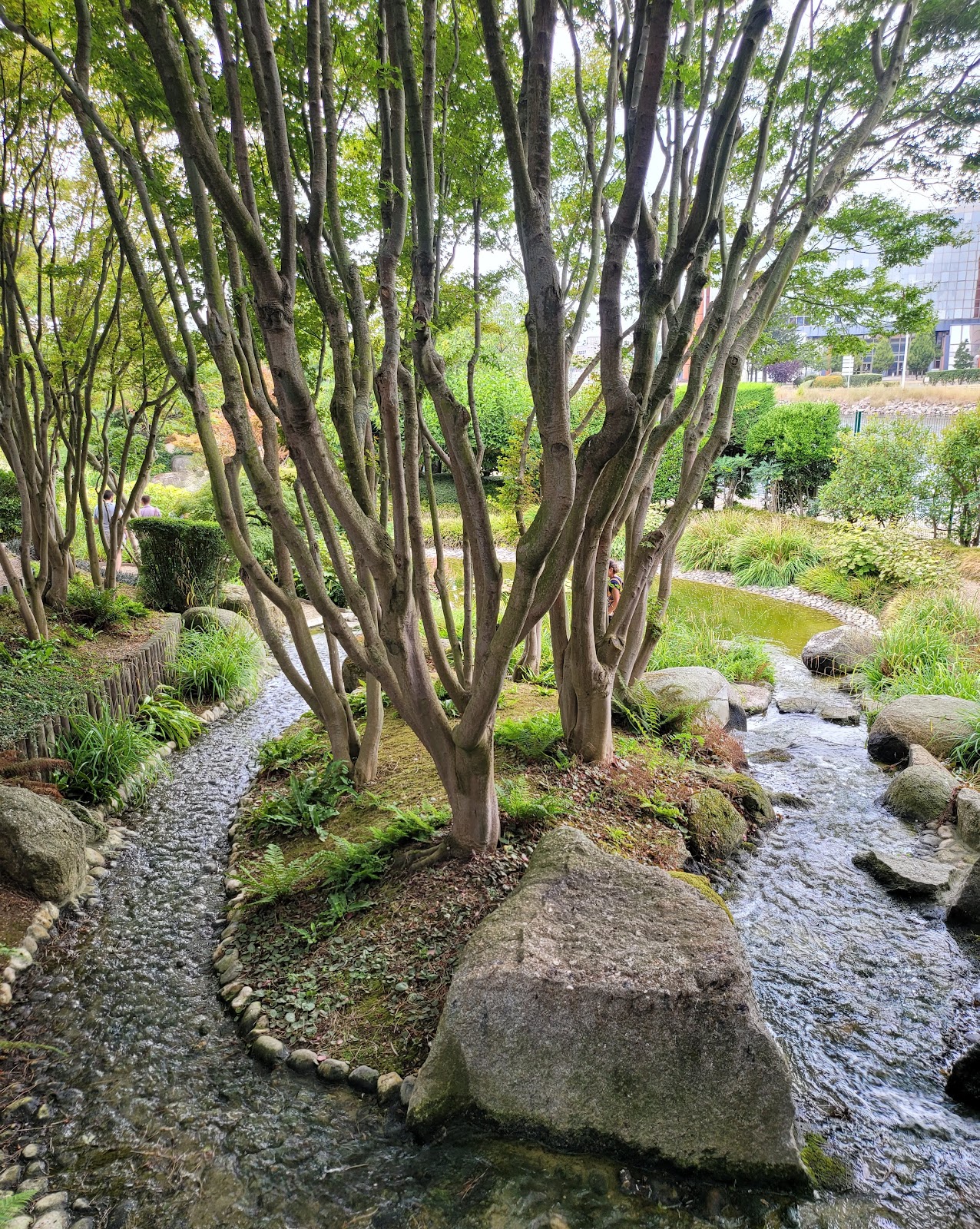 Photo 2 de Jardin japonais du Havre