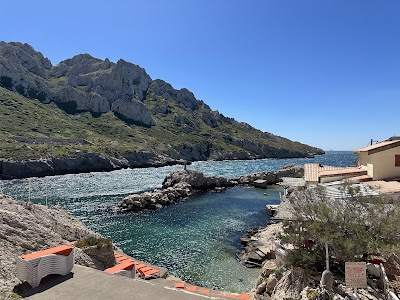Photo 3 de Restaurant La Baie des Singes