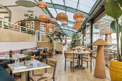Photo 1 de Polpo Brasserie