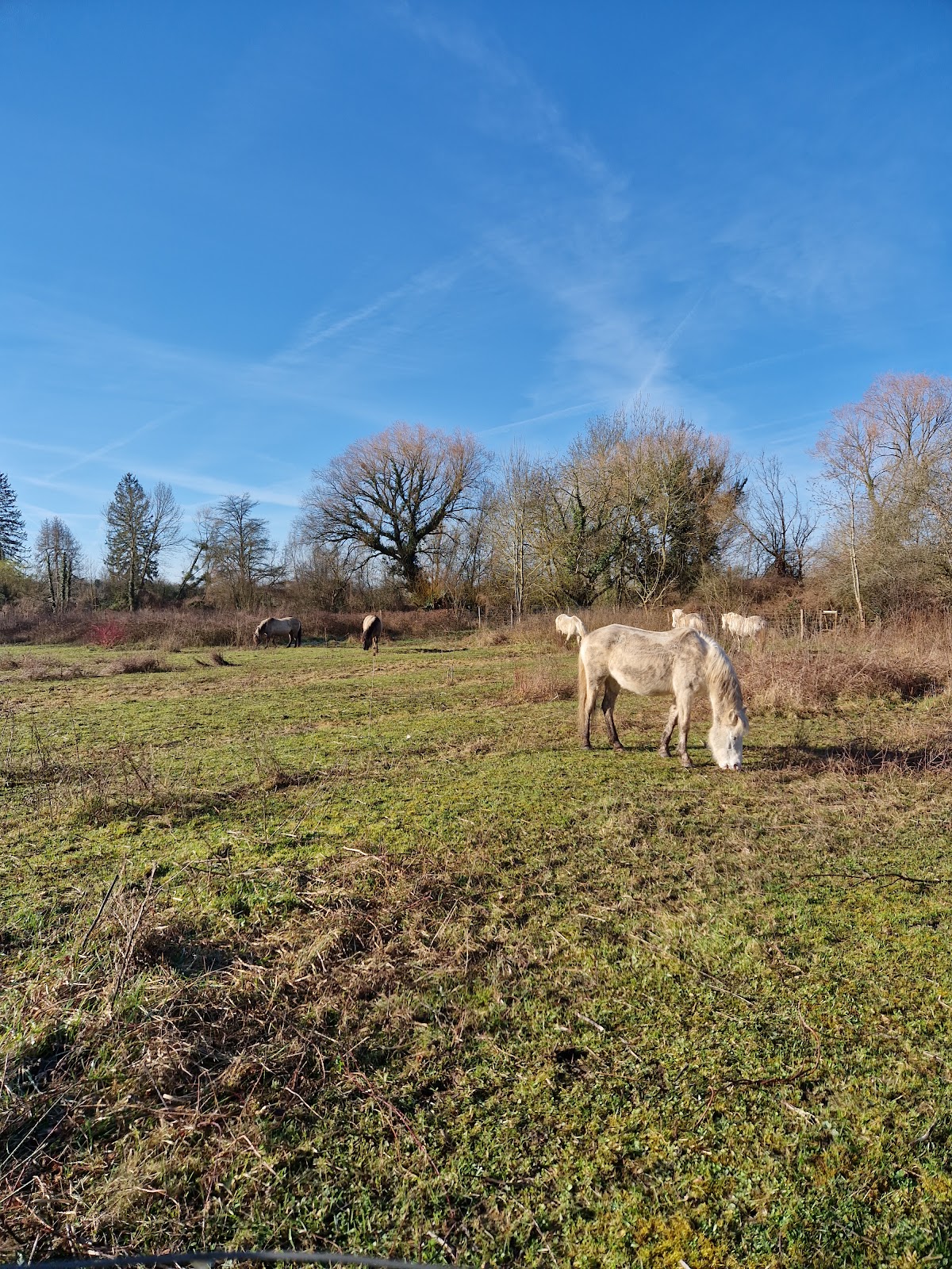 Photo 2 of Parc de Belle-Isle