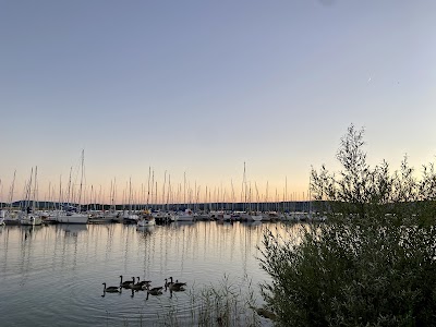 Photo 4 de Lac de Madine