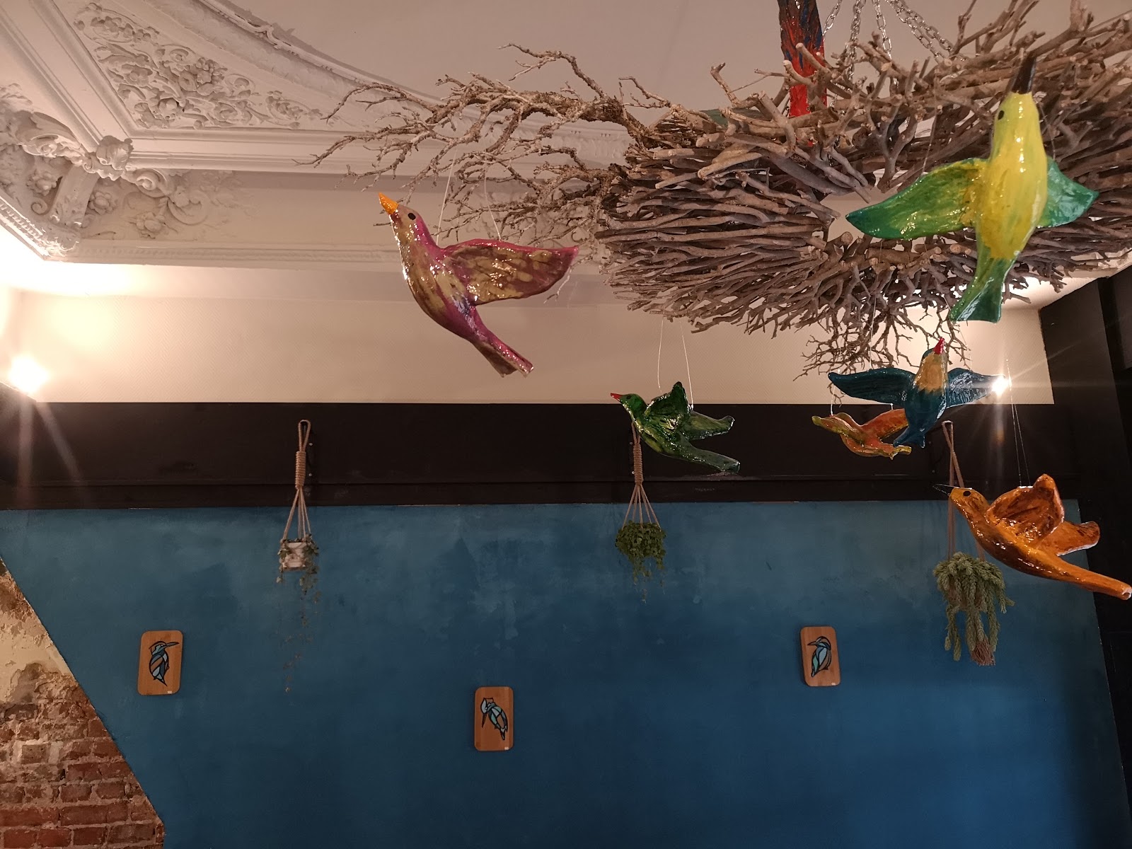 Photo 3 de Les Oiseaux
