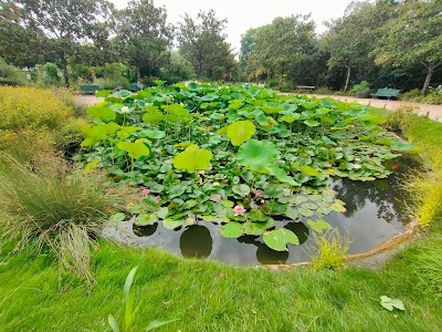 Photo 3 de Jardin Botanique