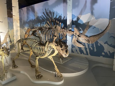Photo 5 of Muséum de Toulouse