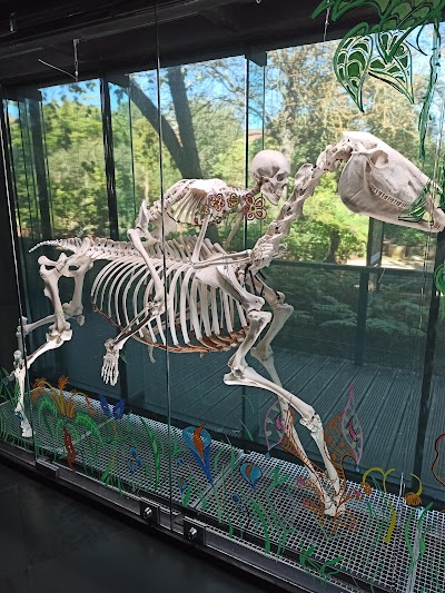 Photo 3 of Muséum de Toulouse