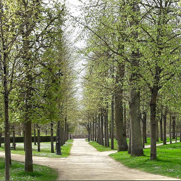 Photo 1 de Parc de Blossac