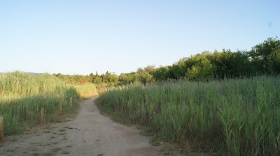 Photo 4 de Étangs de Villepey