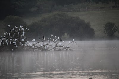 Photo 5 de Lac de Beaulieu