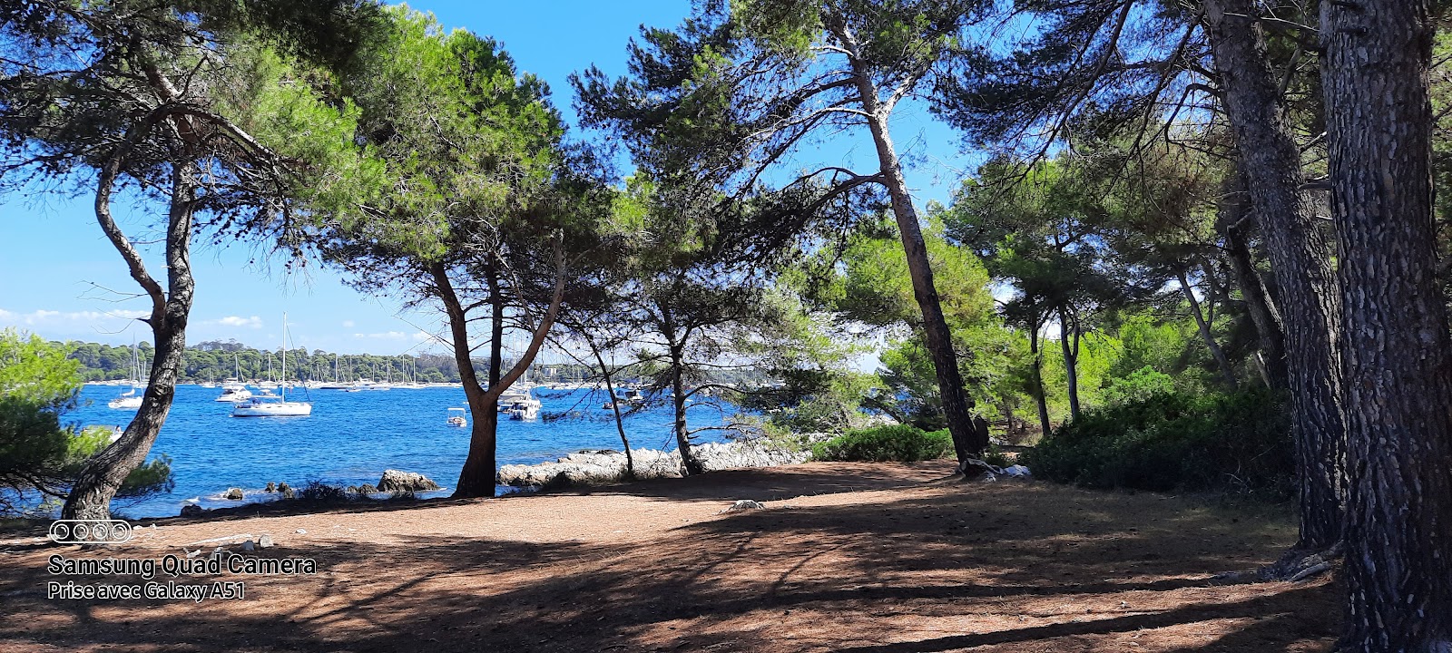 Photo 5 of Île Saint-Honorat - Cannes
