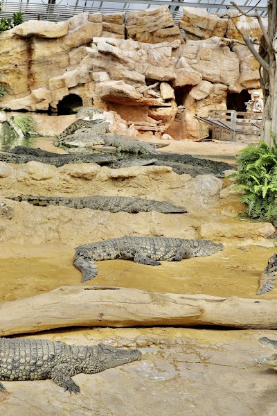 Photo 1 de La Ferme aux Crocodiles - Réserve Tropicale