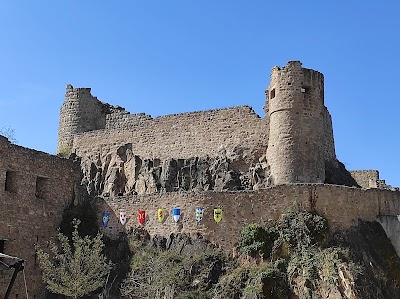 Photo 4 de Château du Hohlandsbourg