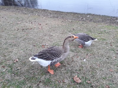 Photo 5 of Lac des Prés Saint Jean