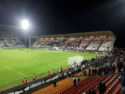 Stade Saint-Symphorien