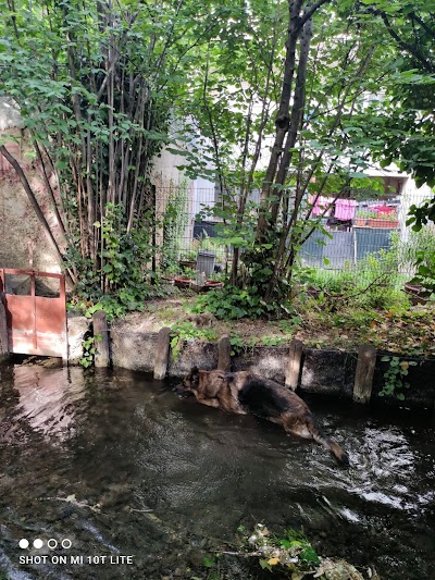 Canal De Chateauvert