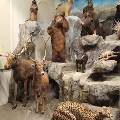 Photo 4 de Musée d'Histoire Naturelle de Lille