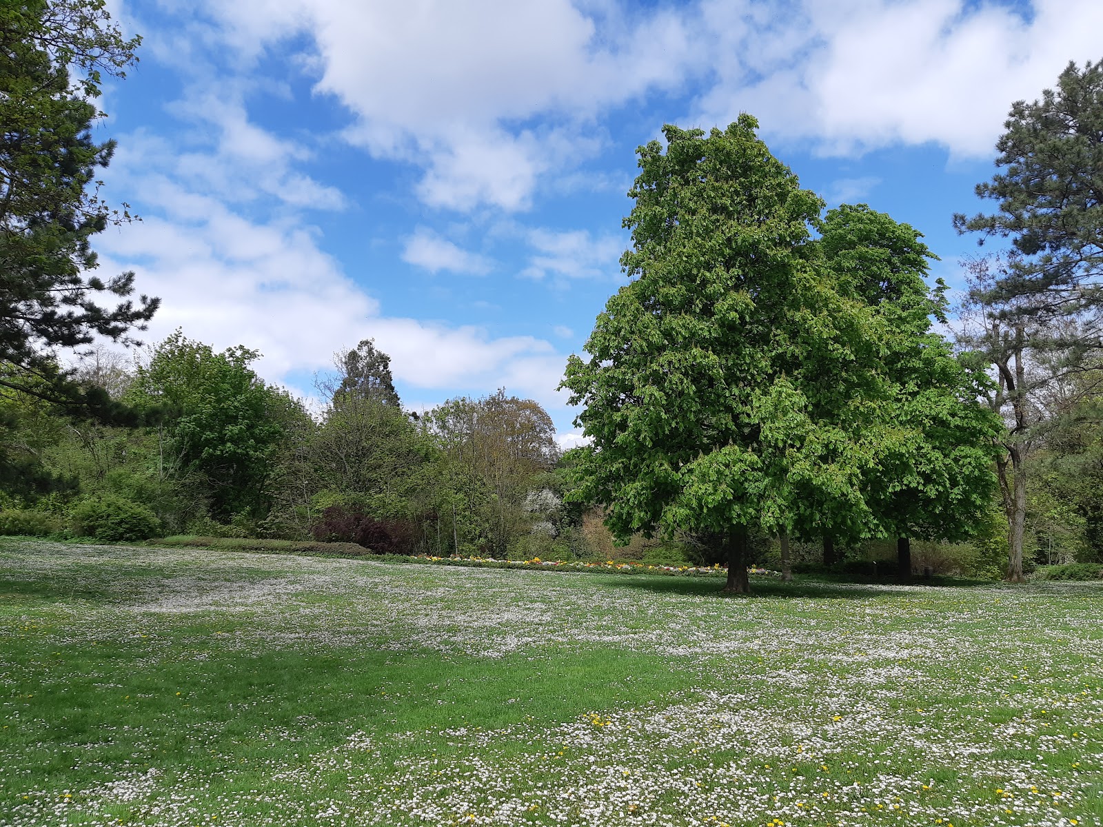 Photo 3 de Carrières Bacquin Park