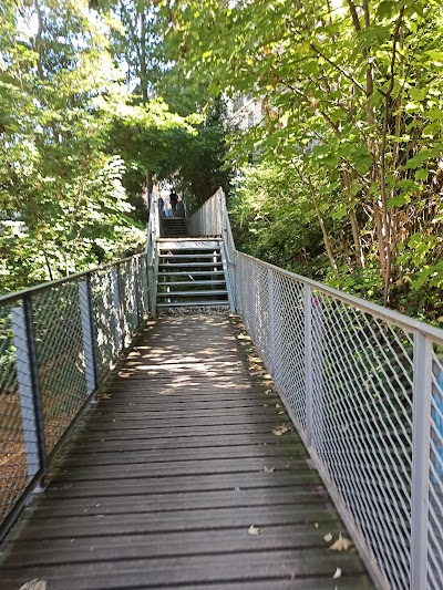 Photo 2 de Petite Ceinture du 15e arrondissement