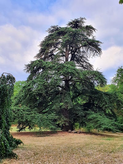 Photo 2 de Parc de Rémicourt