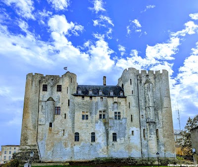 Photo 3 de Musée du Donjon