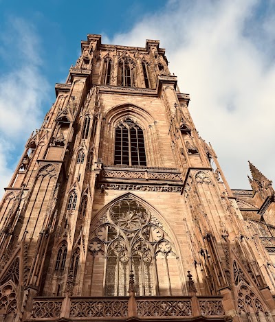 Cathédrale Notre Dame de Strasbourg