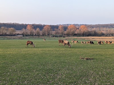 Photo 2 de Parc Animalier de Sainte-Croix