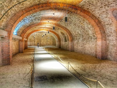 Photo 4 de Musée du vin de Champagne et d'Archéologie régionale