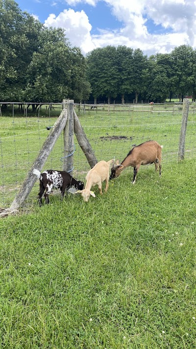 Photo 5 de Les Fermes de Gally - Ferme pédagogique