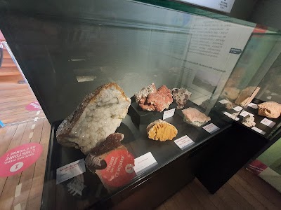 Photo 4 de Muséum d’Histoire naturelle d’Auxerre