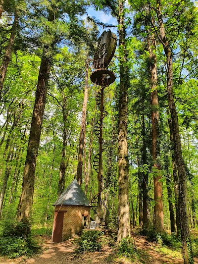 Photo 5 de Parcs Forestier de Larçay - Les Hâtes