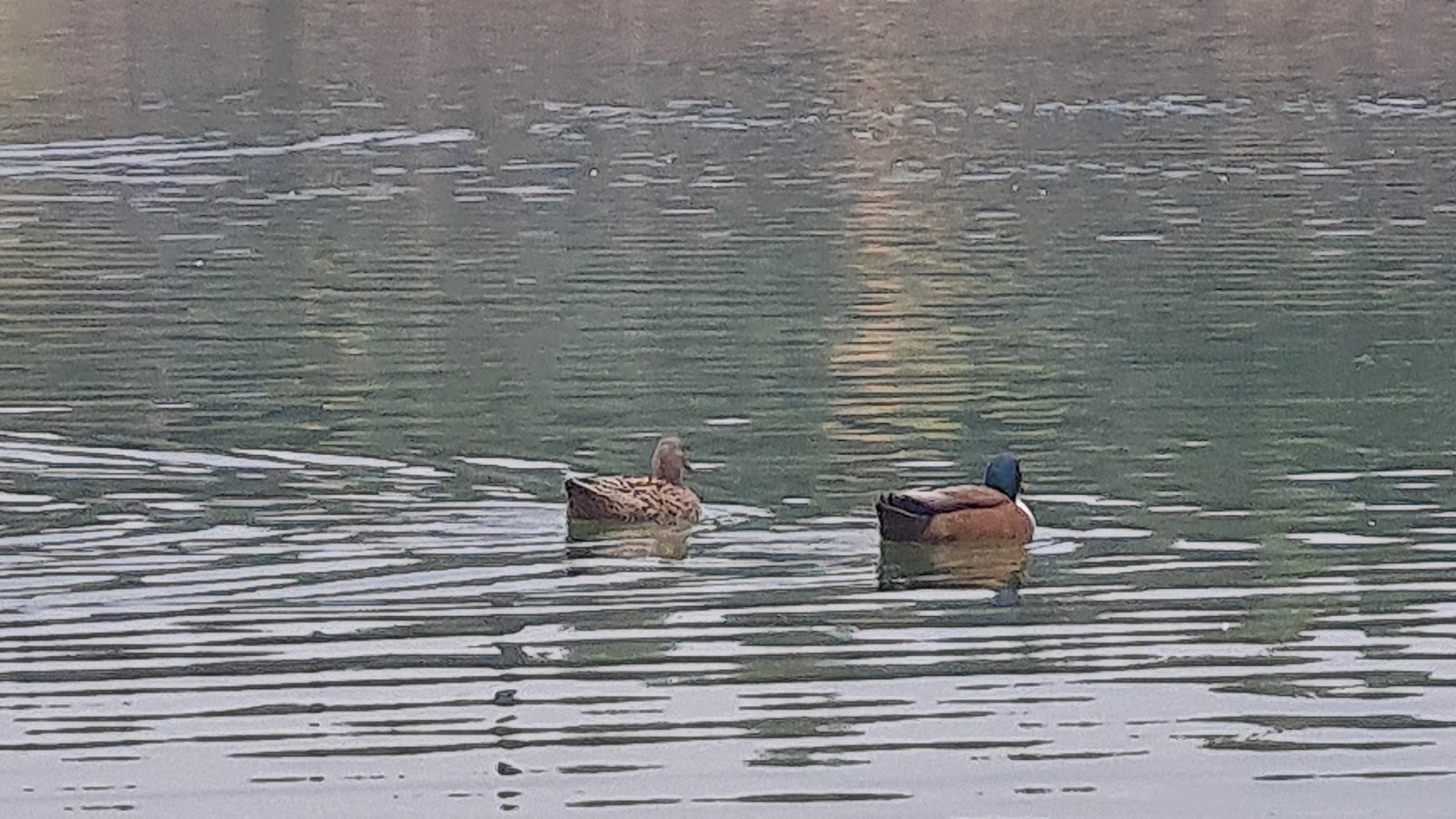 Photo 2 de Parc du Lac du Cres