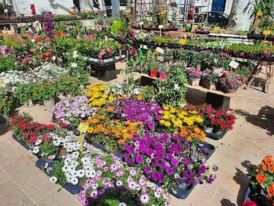 Photo 4 de Marche aux fleurs du vendredi