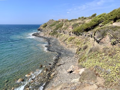 Photo 2 de Parc de la Méditerranée