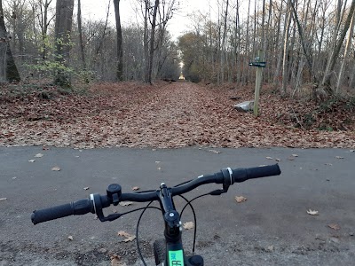 Photo 5 of Bois de Pau