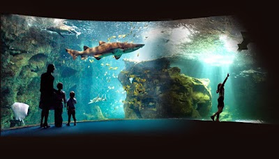 Photo 2 de Aquarium de La Rochelle