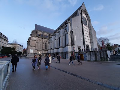 Photo 5 of Cryte de la Cathédrale Notre-Dame-de-la-Treille
