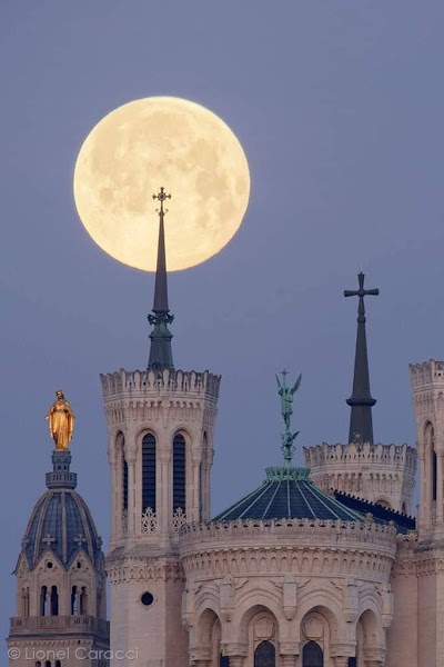 Photo 3 of Lyon