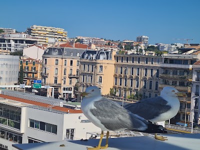 Photo 2 de Cannes