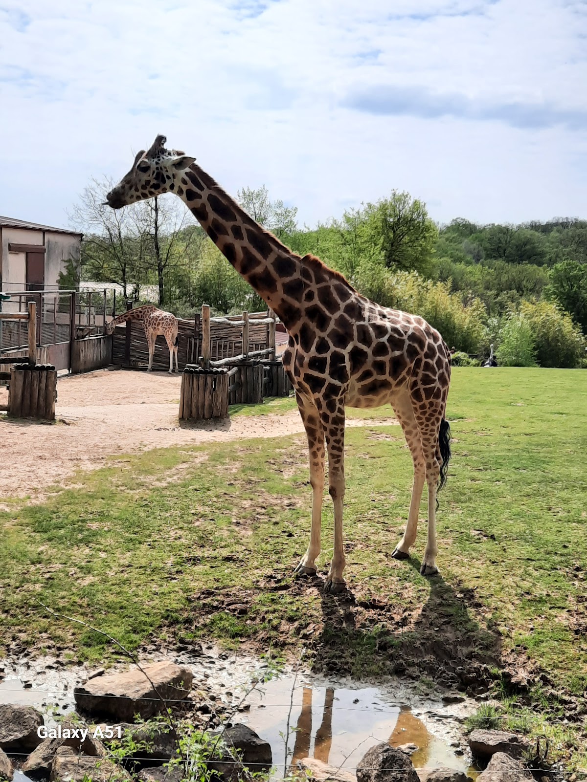 Photo 2 de Zoo d'Amnéville