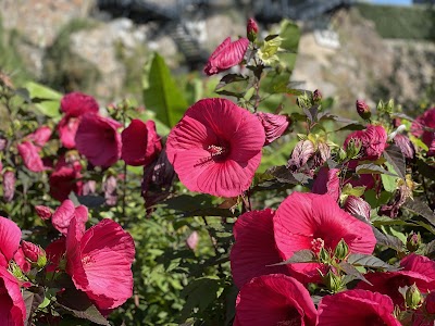 Photo 4 of Jardin Extraordinaire