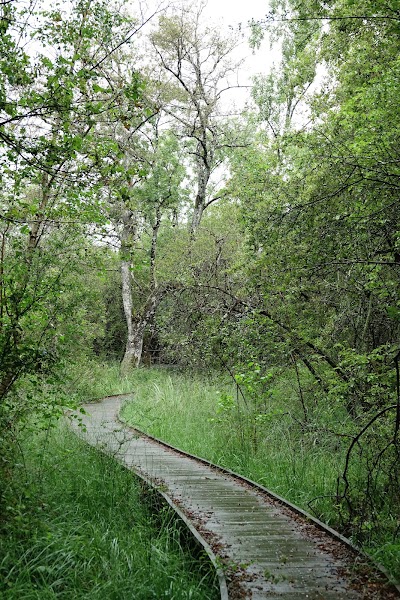Photo 3 de Espace naturel des Rouchoux
