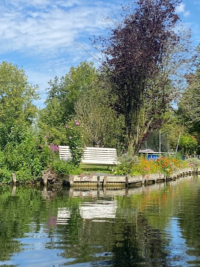 Photo 4 de Ô Jardin