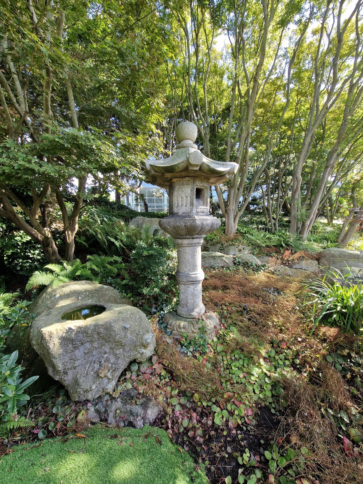 Photo 3 de Jardin japonais du Havre