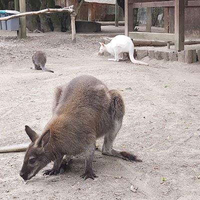 Photo 3 de Bioparc Genève