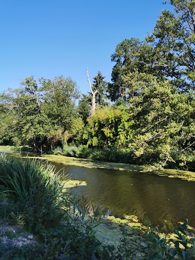 Photo 3 of Canal d'Orléans
