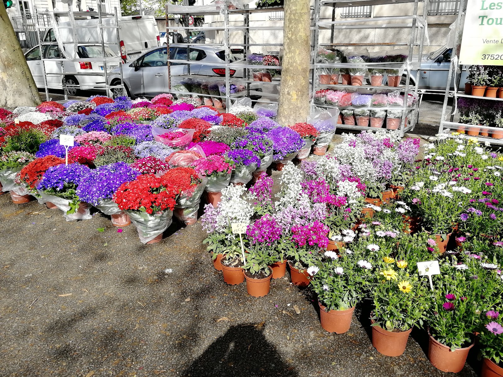 Photo 2 of Marché Aux Fleurs