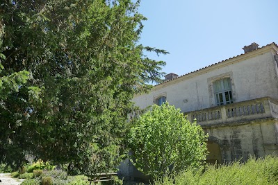 Photo 4 of compostel
