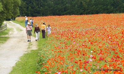 Photo 5 of Parc du Domaine de Méric